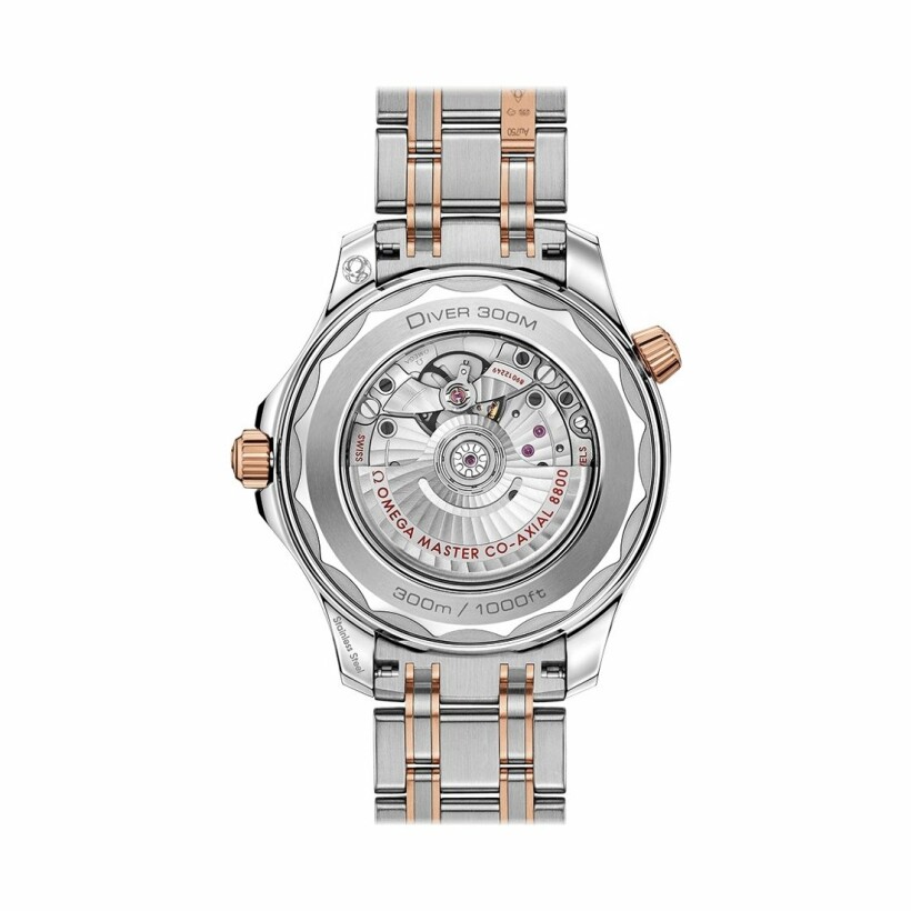 Montre Omega Seamaster Diver 300M Co‑Axial Master Chronometer 42mm