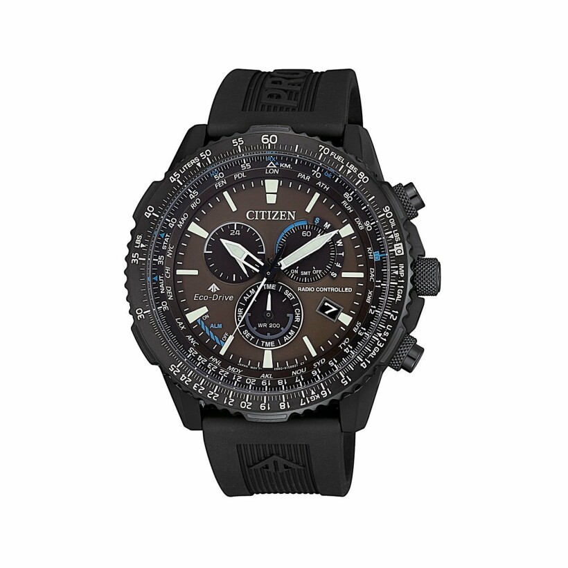 promaster sky citizen