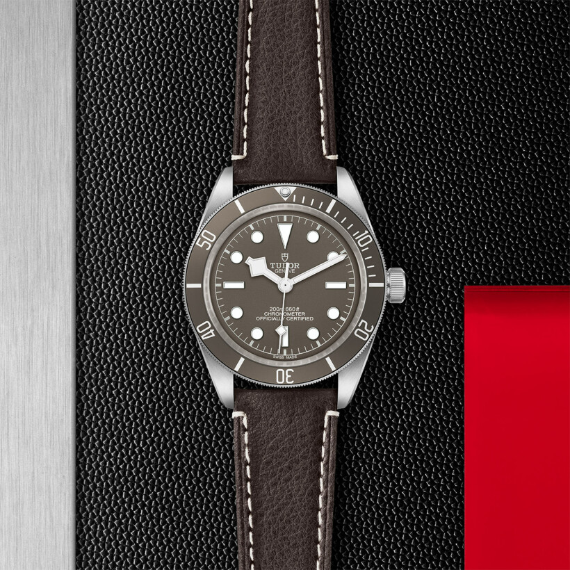 Montres TUDOR