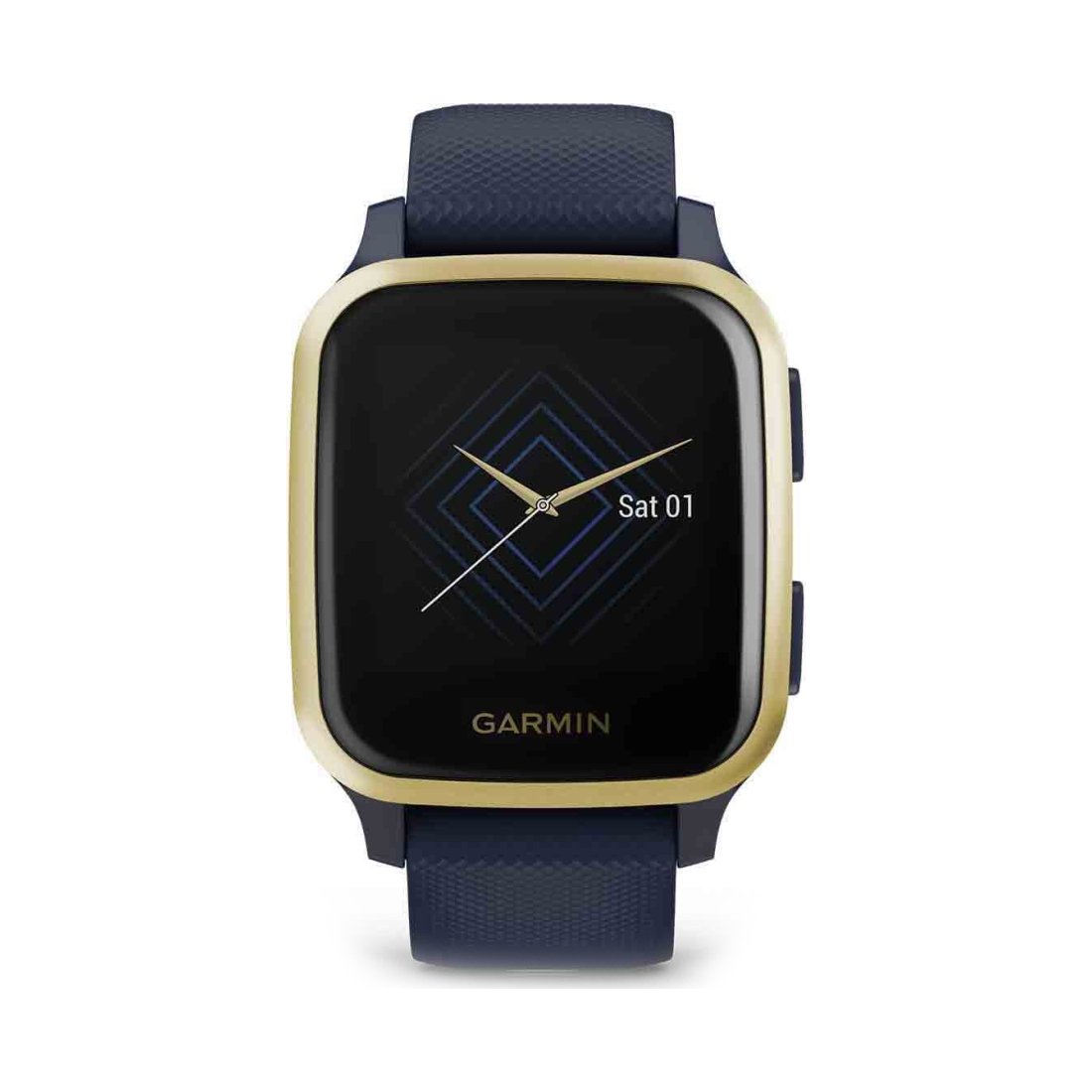 garmin vue sq