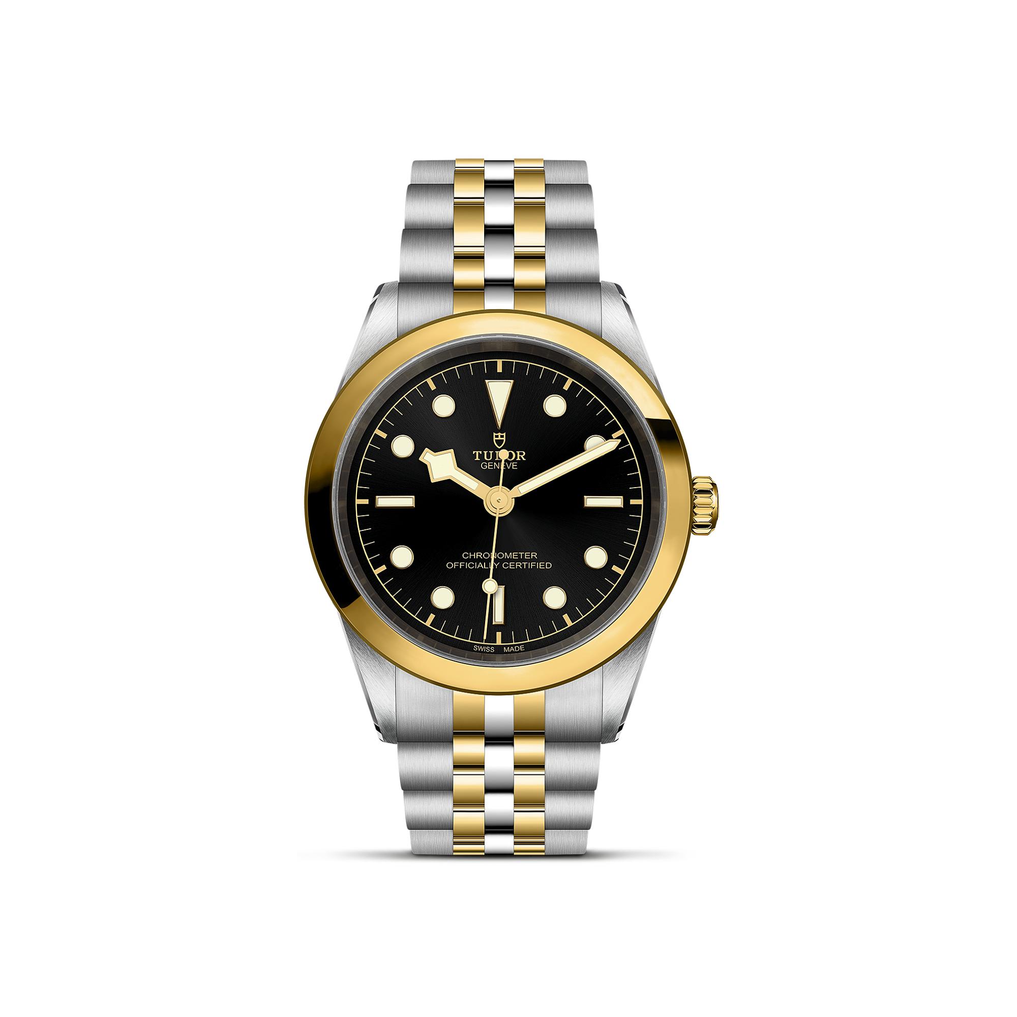 tudor black bay gold and steel