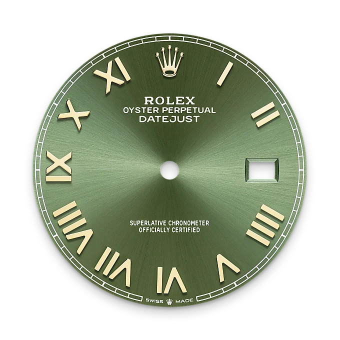 Rolex Datejust 41 in Yellow Rolesor - combination of Oystersteel and yellow gold M126333-0024 at Boutique Rolex Genève