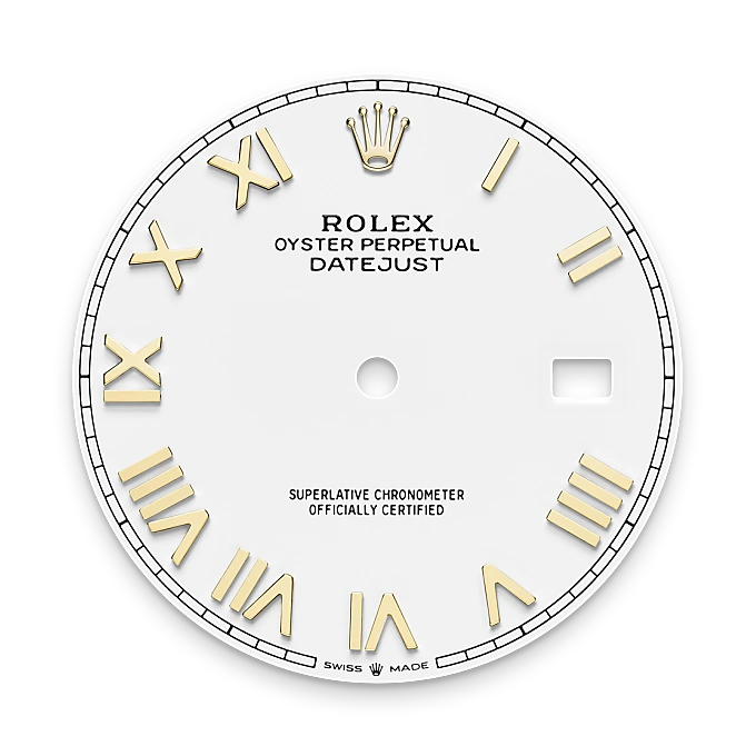 Rolex Datejust 41 in Yellow Rolesor - combination of Oystersteel and yellow gold M126333-0025 at Boutique Rolex Genève