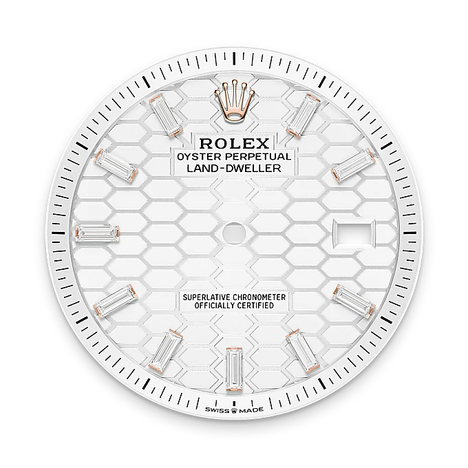 Rolex Land-Dweller 40 en Or Everose 18 ct M127385TBR-0003 chez Frayssinet Joaillier