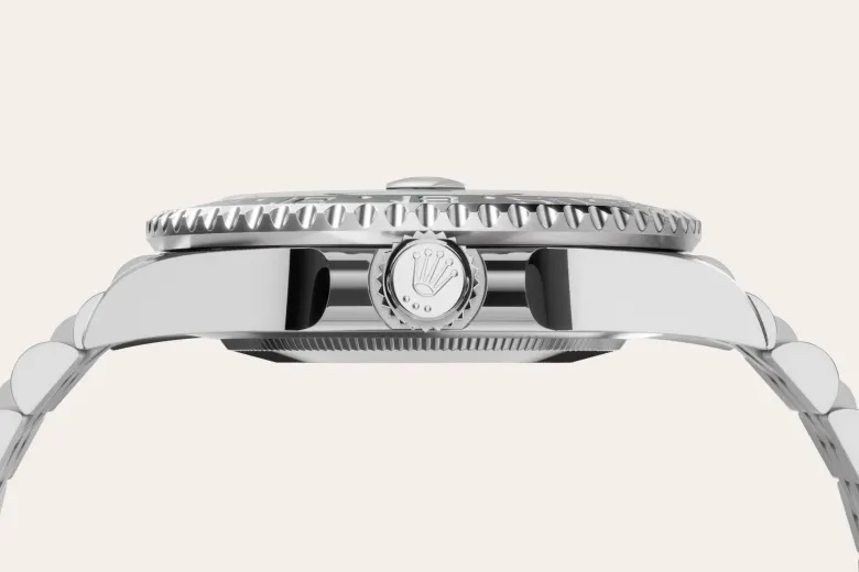 Rolex GMT-Master II en Acier Oystersteel M126720VTNR-0002 chez Bijouterie Mornier