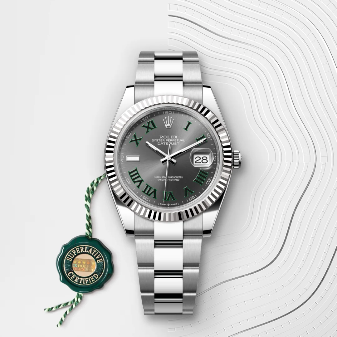 Rolex Datejust 41 in White Rolesor - combination of Oystersteel and white gold M126334-0021 at Lassaussois