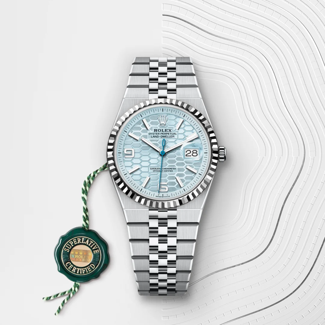 Rolex Land-Dweller 36 en Platine M127236-0001 chez Hardy