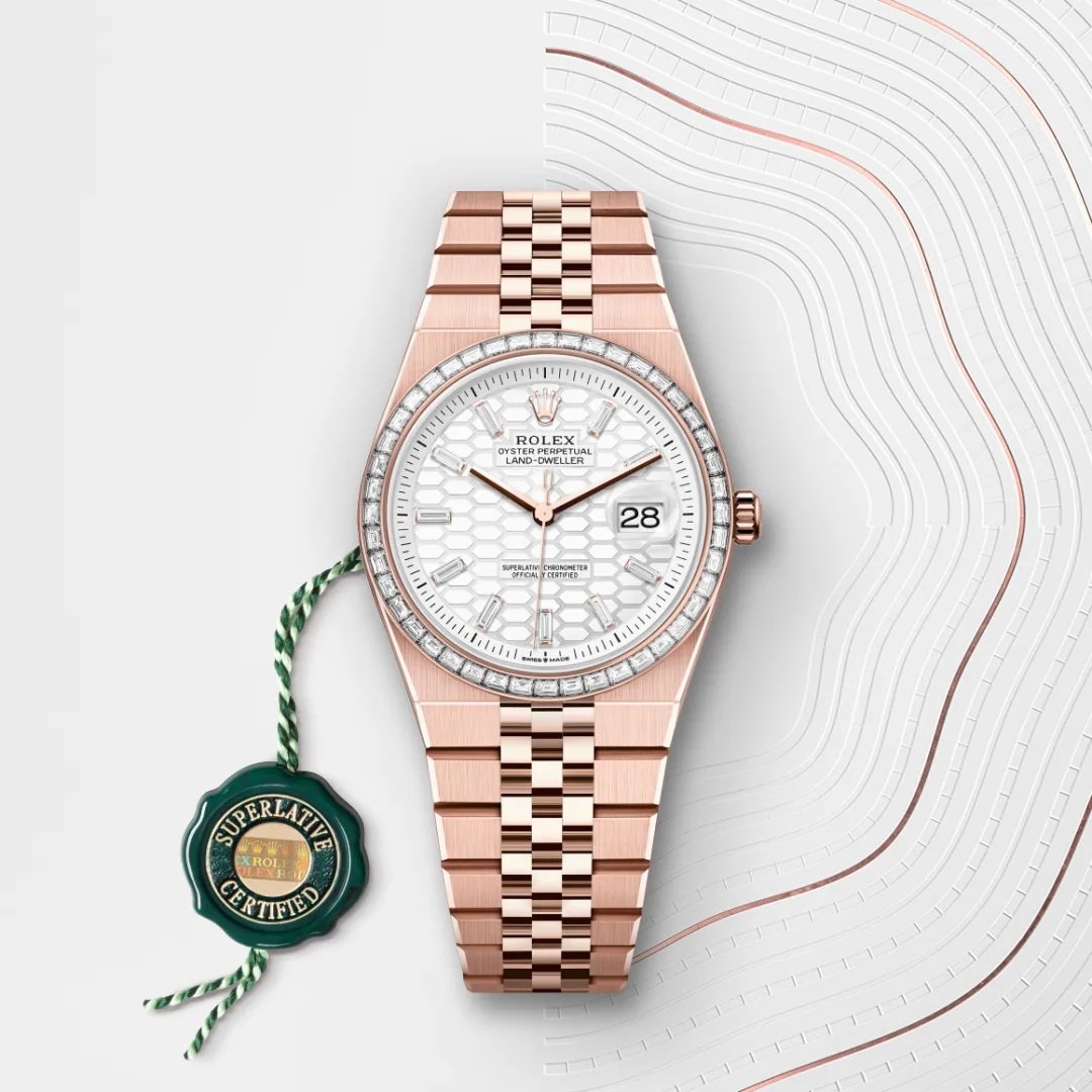 Rolex Land-Dweller 36 en Or Everose 18 ct M127285TBR-0002 chez Boutique Rolex Genève