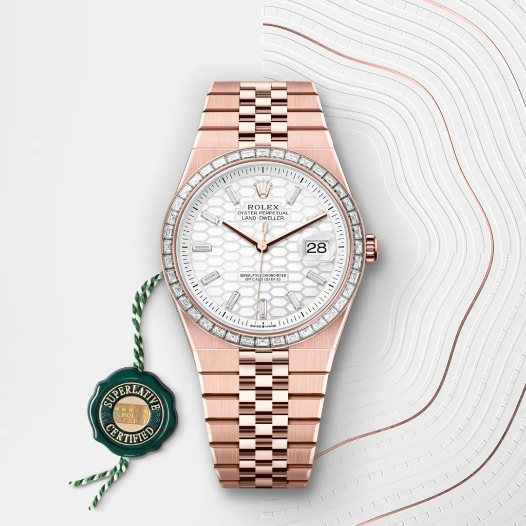 Rolex Land-Dweller 40 en Or Everose 18 ct M127385TBR-0003 chez Frayssinet Joaillier