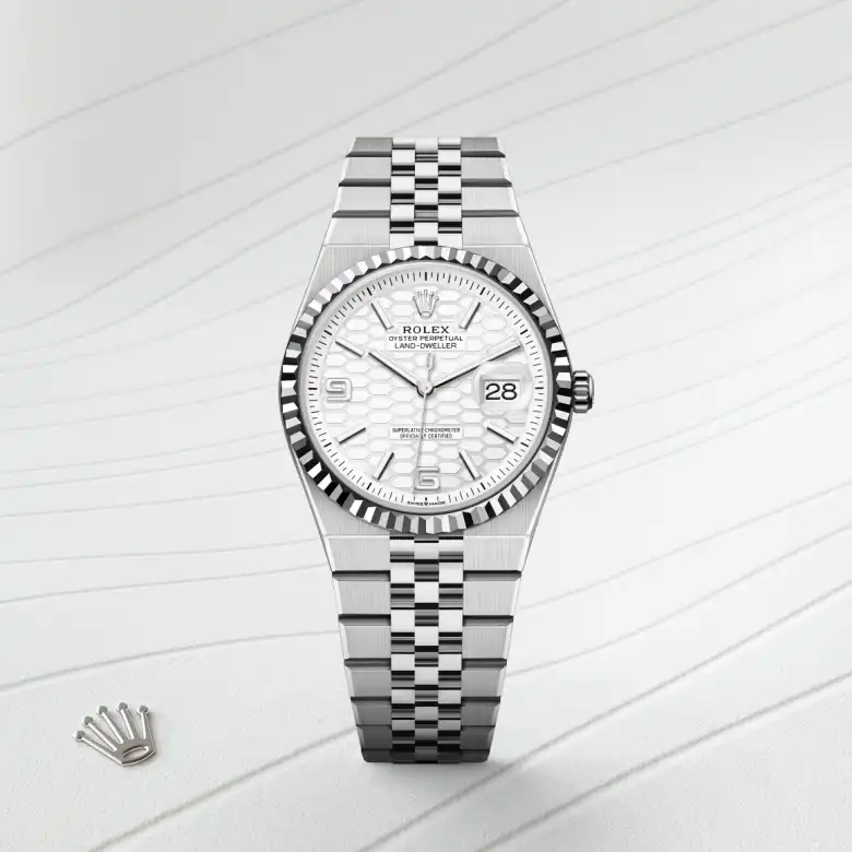 Rolex Land-Dweller 36 in White Rolesor - combination of Oystersteel and white gold M127234-0001 at Charles Greig