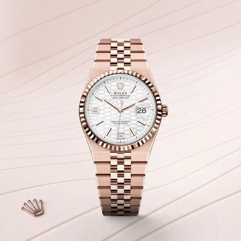 Rolex Land-Dweller 36 in 18 ct Everose gold M127235-0001 at Charles Greig