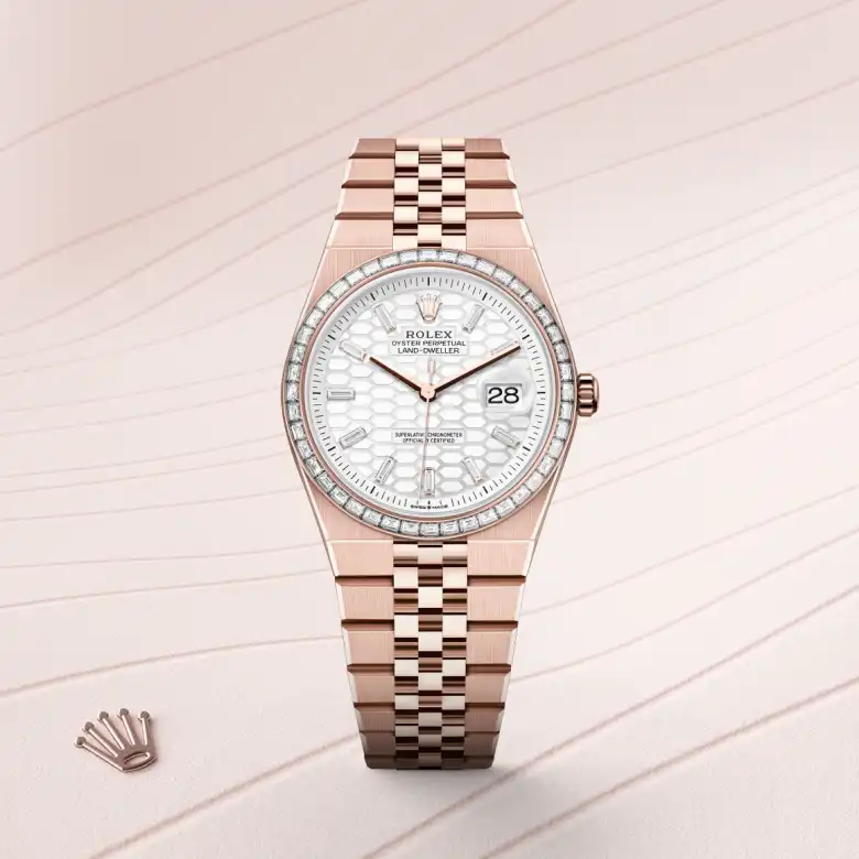 Rolex Land-Dweller in 18 ct Everose gold, M127285TBR-0002 | Shemer