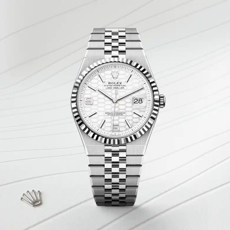 Rolex Land-Dweller en Rolesor gris – combinaison d'acier