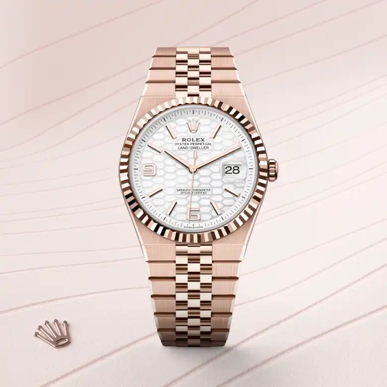 Rolex Land-Dweller 40 in 18 ct Everose gold M127335-0001 at Charles Greig