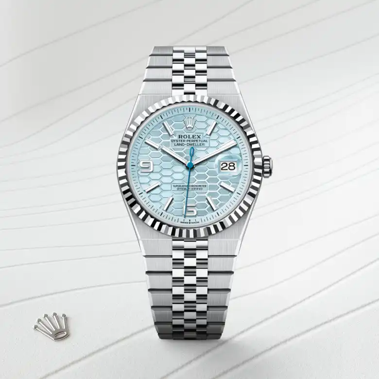 ロッド Rolex Rolex Land-Dweller in Platinum, M127336-0001 | The Vault