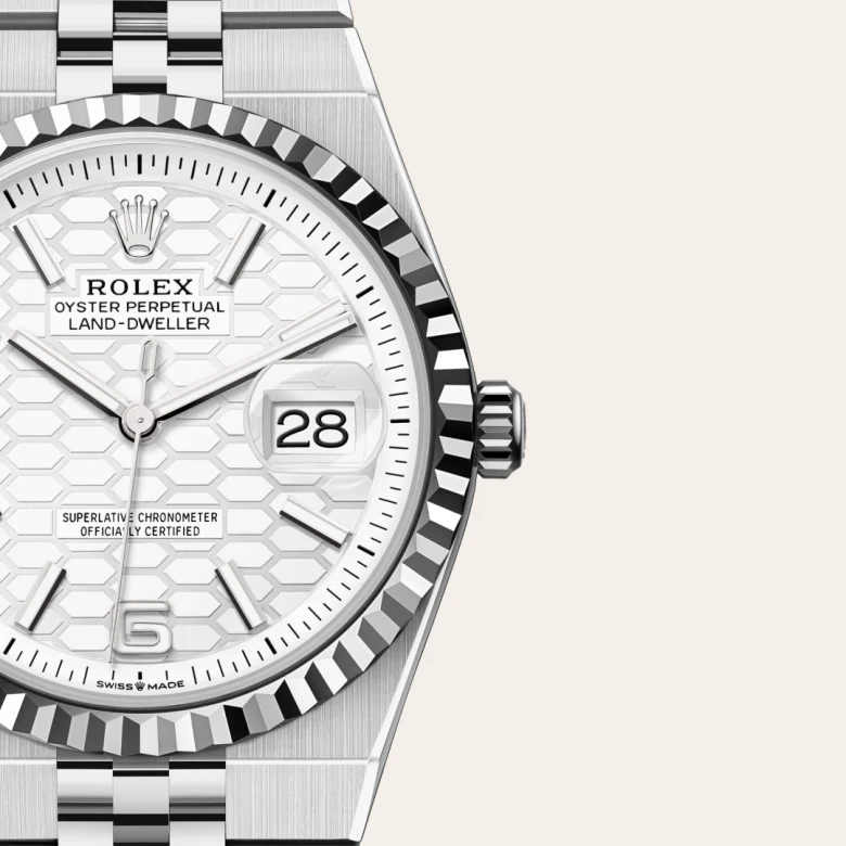 Rolex Land-Dweller en Rolesor gris – combinaison d'acier