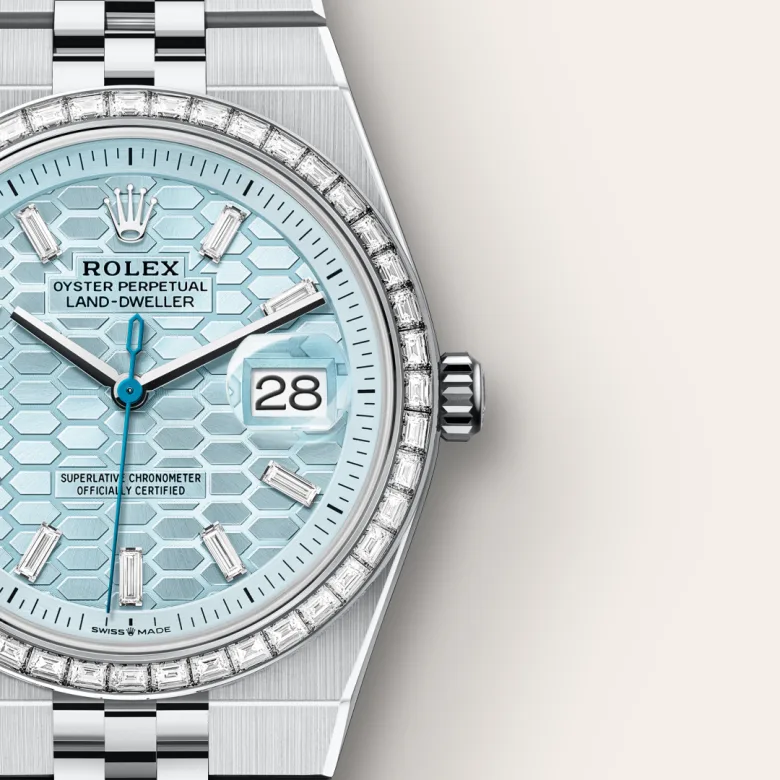 Rolex Land-Dweller in Platinum, M127286TBR-0001 | Zegg & Cerlati