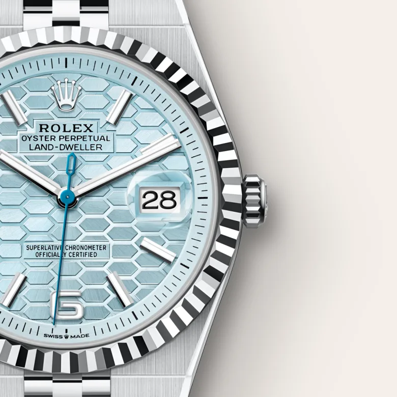 Rolex Land-Dweller in Platinum, M127336-0001 Zegg Cerlati