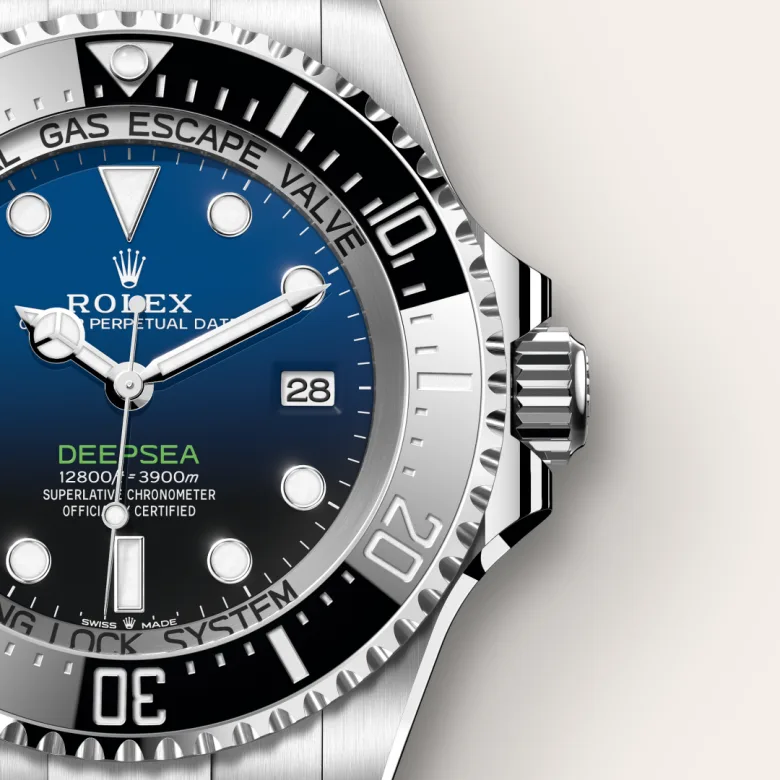 健康・医学 ROREX MANIA 2020 Osvaldo Patrizzi and Guido Mondani Rolex Mania Story | SKU
