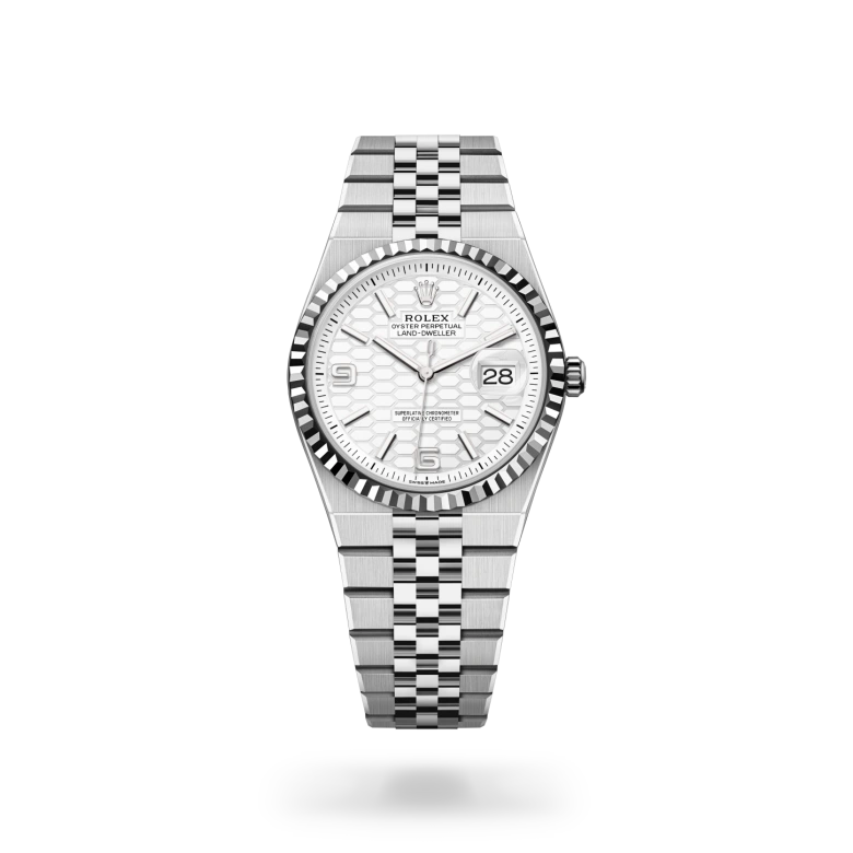 Rolex Land-Dweller en Rolesor gris – combinaison d'acier