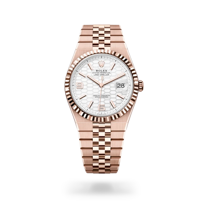 Rolex Land-Dweller in 18 ct Everose gold, M127335-0001 | Zegg