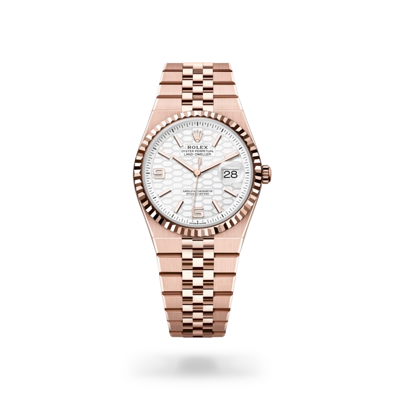 Rolex Land-Dweller 36 in 18 ct Everose gold M127235-0001 at Charles Greig