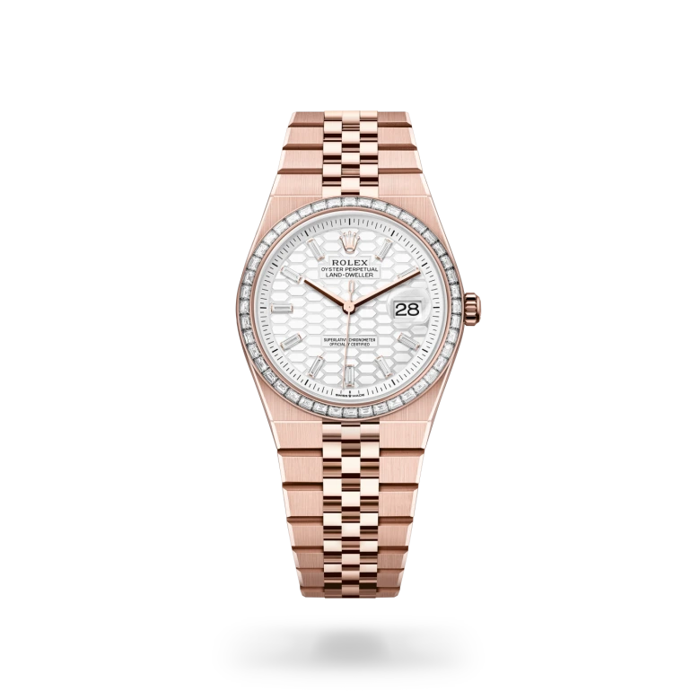 Rolex Land-Dweller 36 in 18 ct Everose gold M127285TBR-0002 at Charles Greig