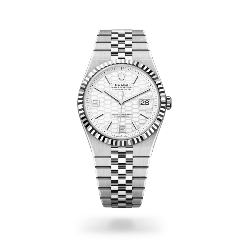 Rolex Land-Dweller 40 in White Rolesor - combination of Oystersteel and white gold M127334-0001 at Charles Greig