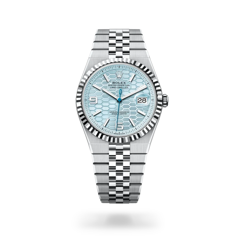 Rolex Land-Dweller 40 in Platinum M127336-0001 at Charles Greig