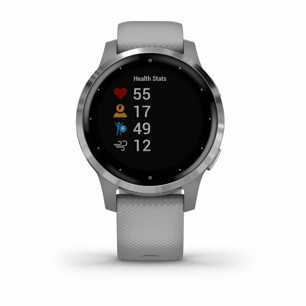 Montre Garmin Vivoactive 4S 010-02172-02