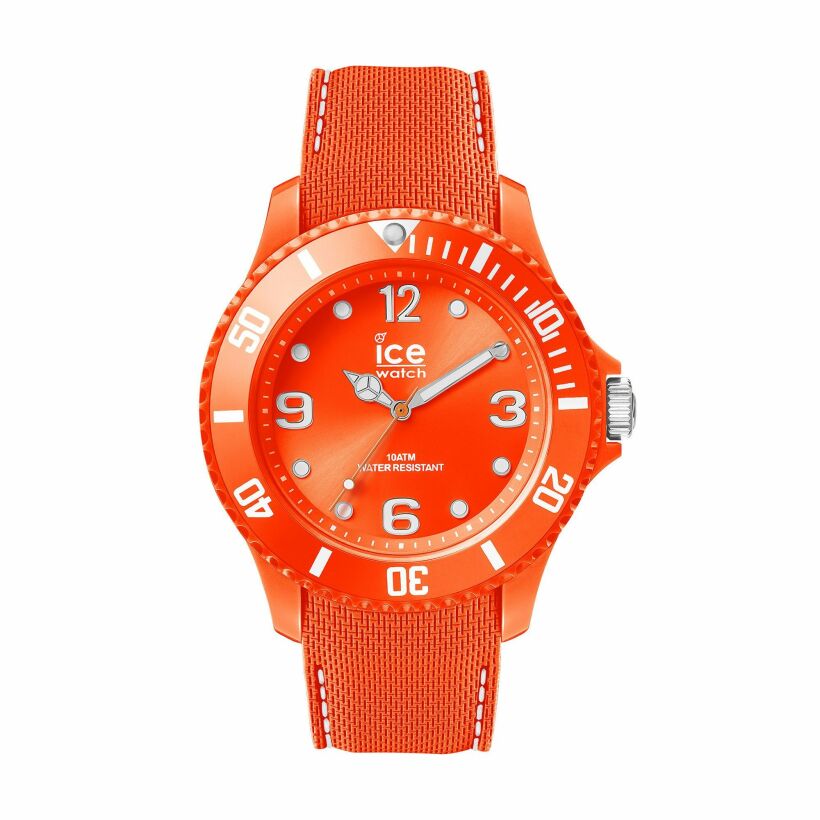 Montre Ice-Watch ICE sixty nine 013619