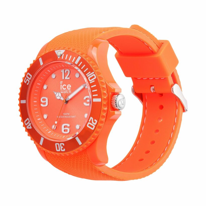 Montre Ice-Watch ICE sixty nine 013619