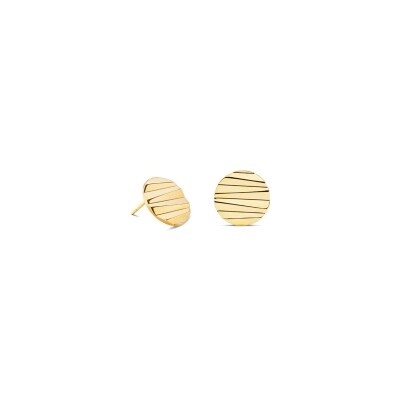 Boucles d'oreilles Coeur de Lion Round Wave en acier doré