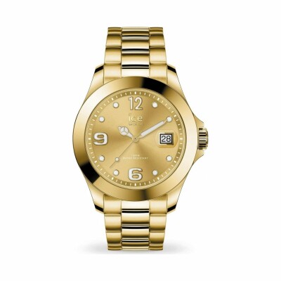 Montre Ice-Watch ICE steel - Classic - Gold - Medium - 3H