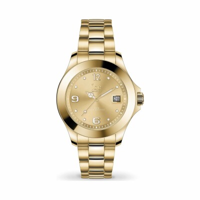 Montre Ice-Watch ICE steel - Classic - Light gold - Small - 3H