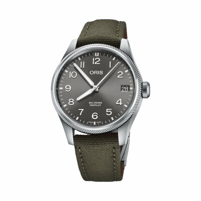 Oris BC ProPilot Big Date watch