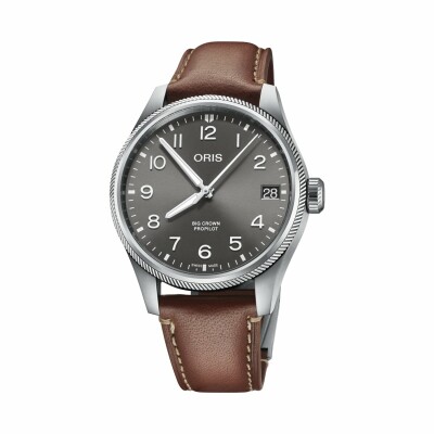 Oris BC ProPilot Big Date watch