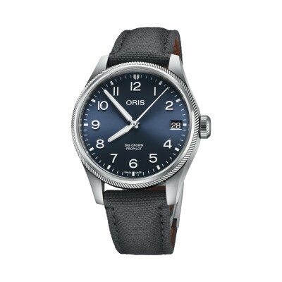 Oris BC ProPilot Big Date watch