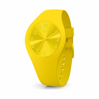 Montre Ice-Watch ICE colour - Citrus - Small