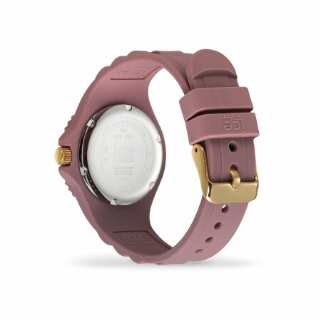 Montre Ice-Watch ICE generation Fall rose - Small