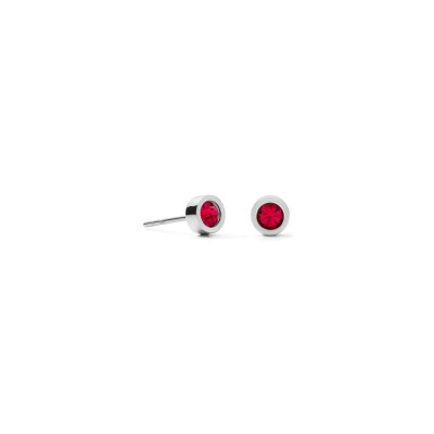 Boucles d'oreilles Coeur de Lion Sparkling Dot  en acier et cristaux