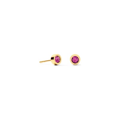 Boucles d'oreilles Coeur de Lion Sparkling Dot  en acier doré et cristaux