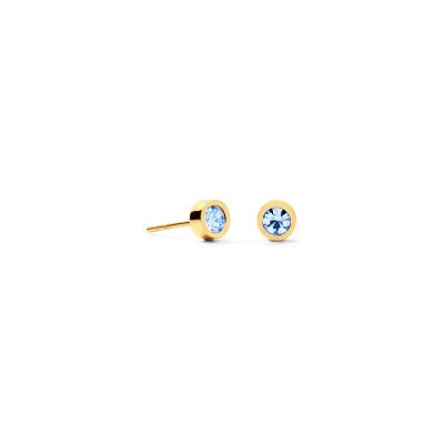 Boucles d'oreilles Coeur de Lion Sparkling Dot  en acier et cristaux