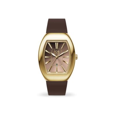 Montre Ice-Watch  ICE dome Chocolate