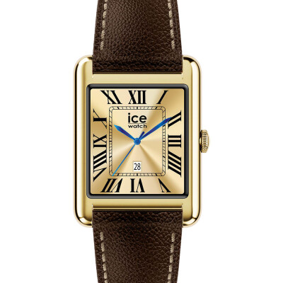 Montre Ice-watch ICE smart TKS 2.0 - Gold - Chocolate grain