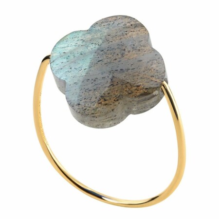 Bague Morganne Bello Friandise en or jaune et labradorite