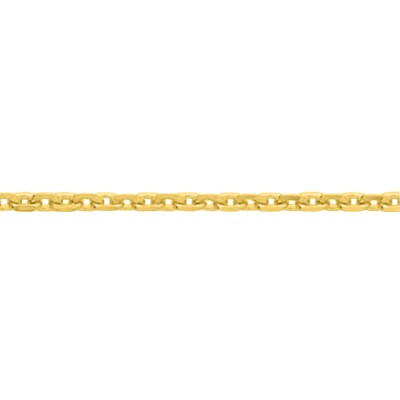 Collier chaîne maille forçat en plaqué or, taille 50cm