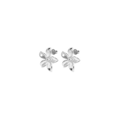 Boucles d'oreilles Qudo Pescia en acier