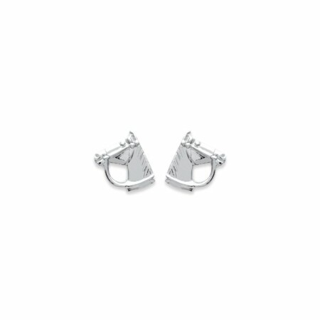 Boucles d'oreilles en argent