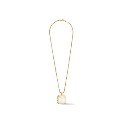 Collier Coeur de Lion Amulette Spikes Square en acier doré et jade blanc